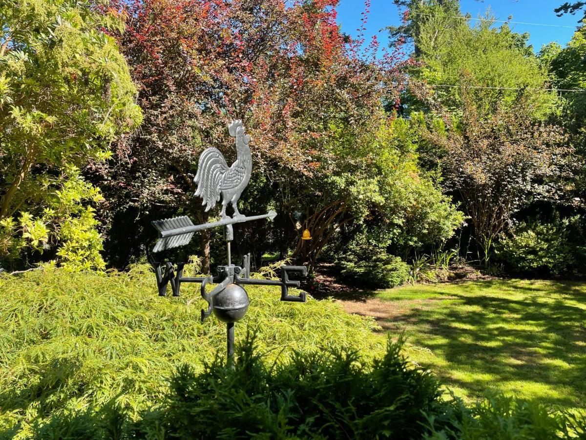 Kye Bay Bnb - A Place To Breathe Comox Extérieur photo